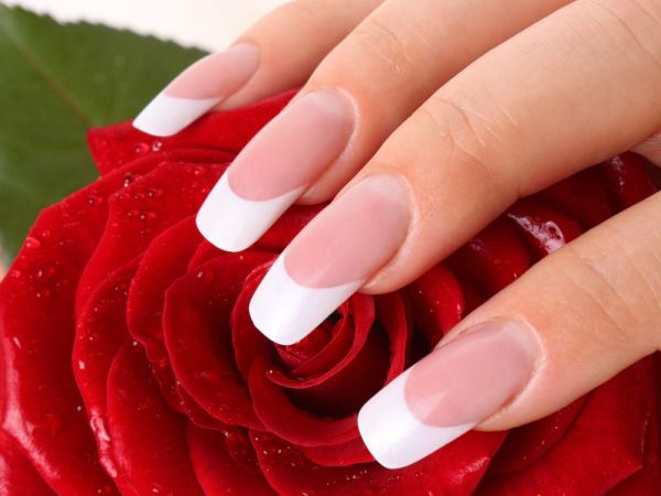 Long french tip acrylic nails on woman's hand covering a red rose